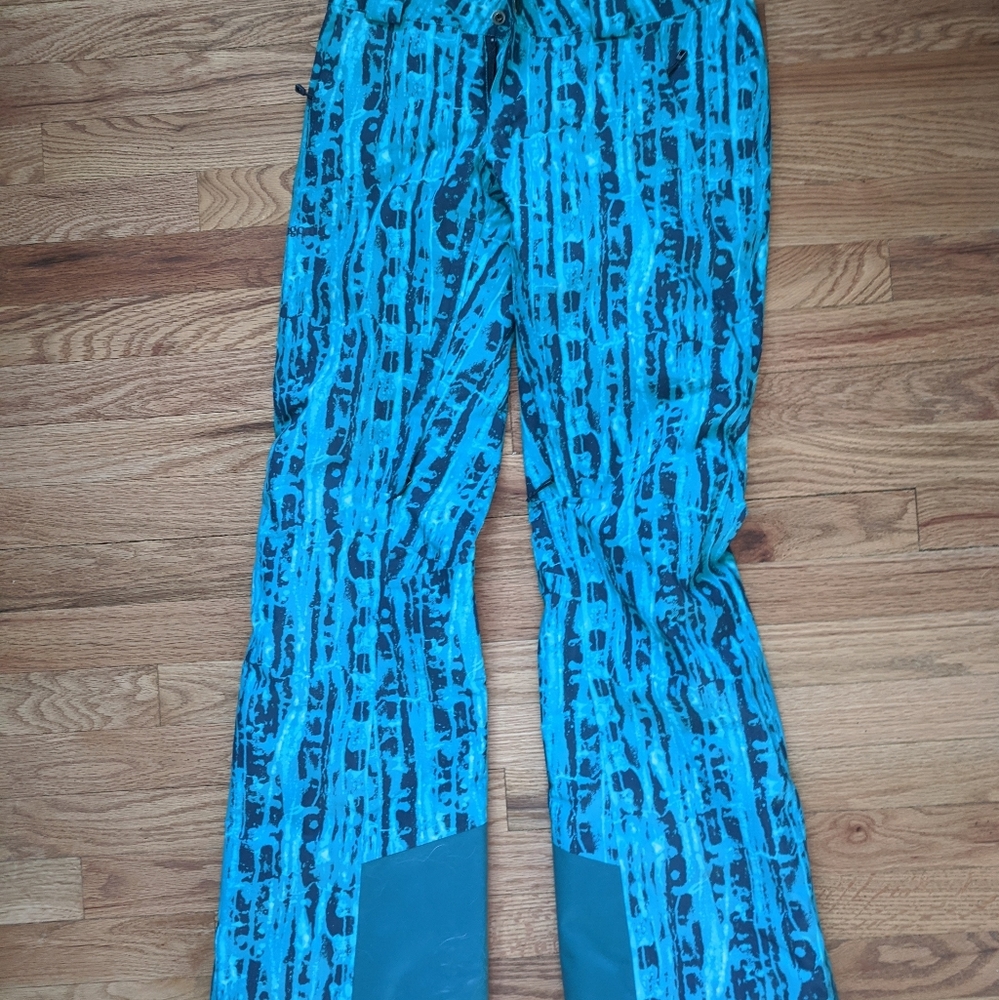 Patagonia ski pants